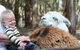 Margaret River Hideaway - thumb 3