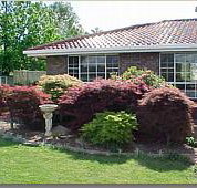 Creature Comforts - Accommodation Perth