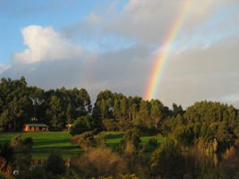 Pemberton Lavender And Berry Farm Cafe And Cottages - Accommodation Perth 3