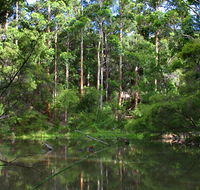 Peppermint Grove Retreat - Accommodation Perth