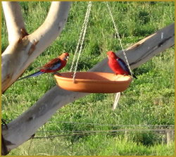 Henlie Park Bed & Breakfast - Accommodation Perth 3