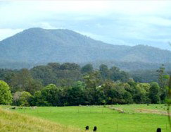 Bellingen Farmstay - Accommodation Perth 4