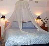 Bondi Beach Garden Sweet - Accommodation Perth