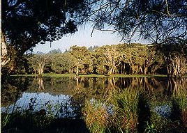 Bush Haven - Accommodation Perth 3