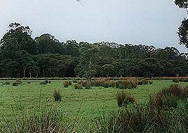 Bush Haven - Accommodation Perth 4