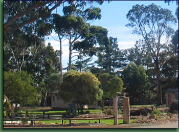Kalgan River Chalets And Caravan Park - Accommodation Perth 0