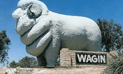 Wagin Motel - Perth Resorts