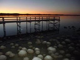 Lake Clifton Caravan Park - Accommodation Perth 0