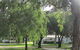Lake Clifton Caravan Park - thumb 2