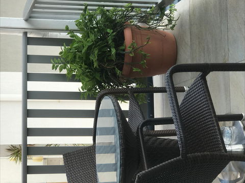 Airlie Court Units - Perth Resorts 2