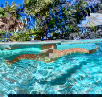 BIG4 Ballina Headlands Holiday Park - Accommodation Perth