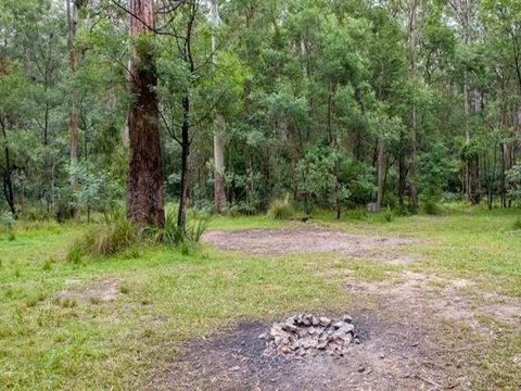 Blue Gum Flat Campground - Accommodation Perth 0