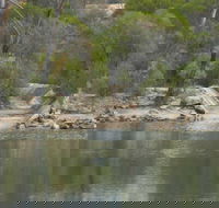 Boondi Rock Camp at Goldfields Woodlands National Park - Accommodation Perth