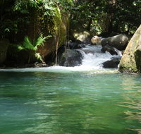 Daintree Secrets Rainforest Sanctuary - Accommodation Perth