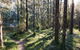 Deua River Campgrounds - thumb 0