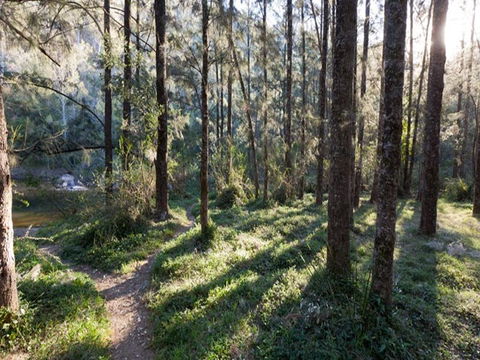 Deua River Campgrounds - Accommodation Perth 0