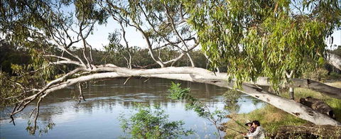 Hay Caravan Park - Accommodation Perth 1