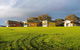 Lush Pastures Hosted BnB - thumb 0