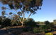 Murray Bridge Motor Inn - thumb 2