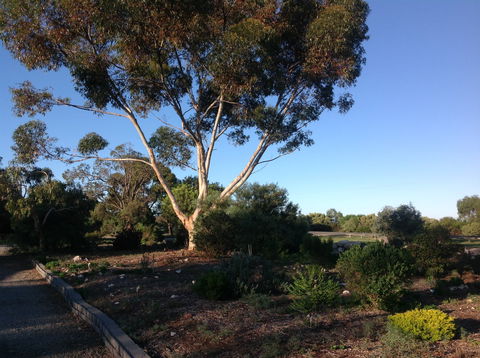 Murray Bridge Motor Inn - Accommodation Perth 2