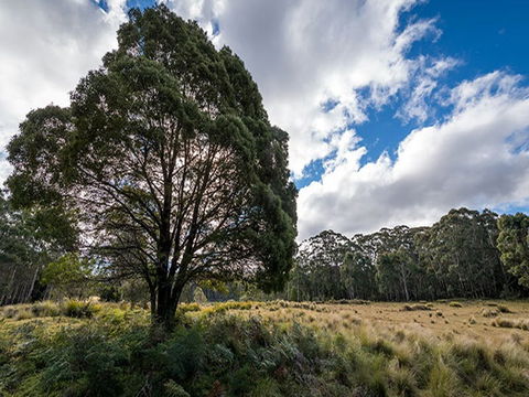 Nunnock Campground - Accommodation Perth 0