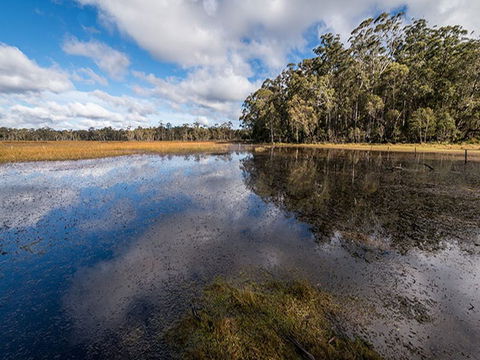 Nunnock Campground - Accommodation Perth 2