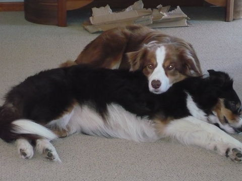 Secrets Of The Sea - Perth Resorts 2