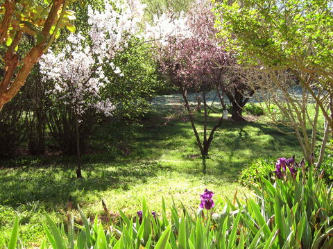 Sofala Cottage - Accommodation Perth 0