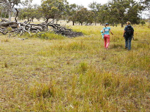 Sundown National Park Camping - Accommodation Perth 2