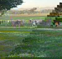Wallinga Studio Farmstay - Accommodation Perth