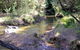 Wheeny Creek Campground - thumb 0