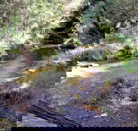 Wheeny Creek campground - Accommodation Perth