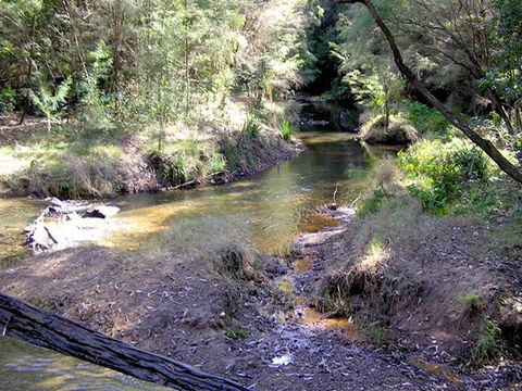 Wheeny Creek Campground - Accommodation Perth 0