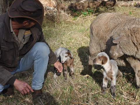 Willowbrook Farm Caravan Park - Accommodation Perth 1