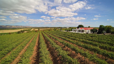 1837 Barossa Luxury Vineyard Cottages - Accommodation Perth 0