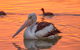 4 Pelican Court - River Shack Rentals - thumb 0