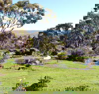 Austiny Bed and Breakfast - Accommodation Perth