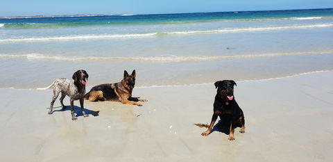 BIG4 Warrnambool Figtree Holiday Park - Accommodation Perth 2