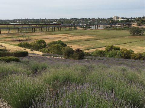 Brayfield Cottage - Accommodation Perth 0