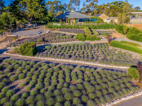 Brayfield Cottage - Accommodation Perth 1