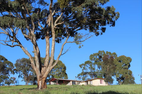 Clare View Accommodation - Clare View Cottage - Accommodation Perth 2