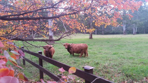 Dingley Dell - Accommodation Perth 0