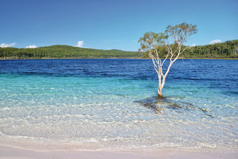 Fraser Island Fishing Units - Accommodation Perth 0