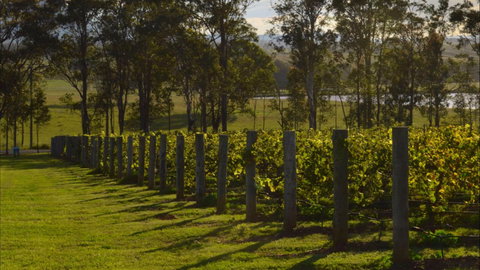 H Boutique Hotel - Accommodation Perth 0