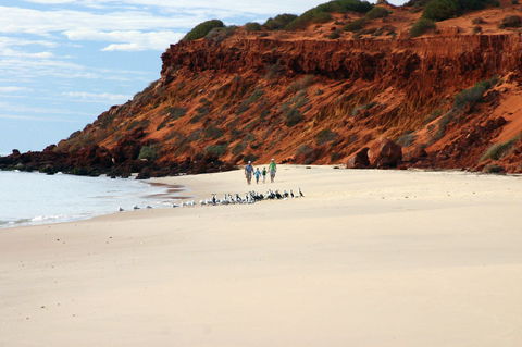 Herald Bight Camp At Francois Peron National Park - Accommodation Perth 0