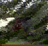 Turkeys Nest Rainforest Cottages Mt Glorious - Accommodation Perth