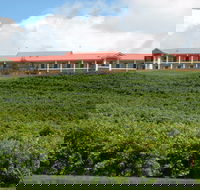 Turners Vineyard Motel - Accommodation Perth