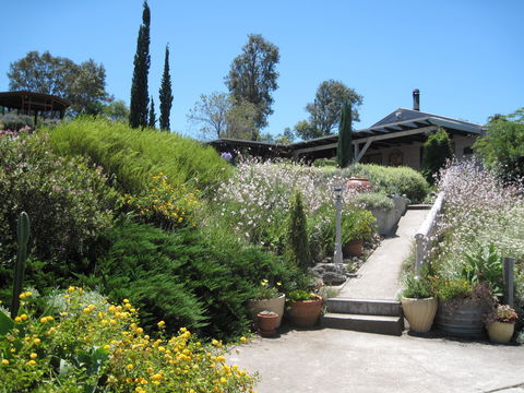 Valley View Cottage Hunter Valley - Perth Resorts 0