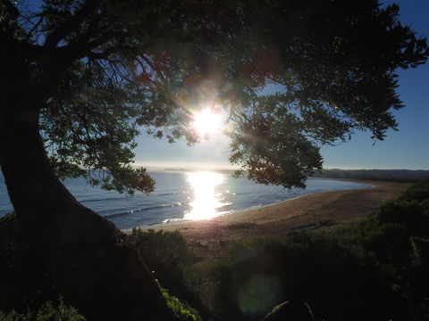 Apex Beachside Holiday Park - Accommodation Perth 1