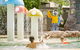 Ashmore Palms Holiday Village - thumb 0